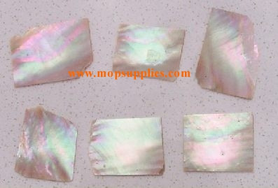 1oz Australian Greenlip abalone blanks mix size 1.3mm