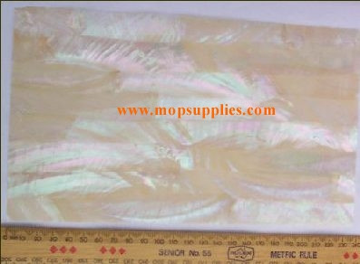 1pc Australian Greenlip abalone veneer 140x240x 0.15mm
