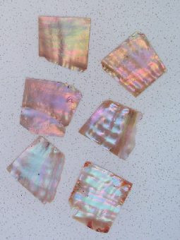 1oz Awabi blanks mix size 1.3mm thickness