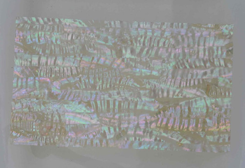 1pc Awabi laminated sheet 135x235x2mm