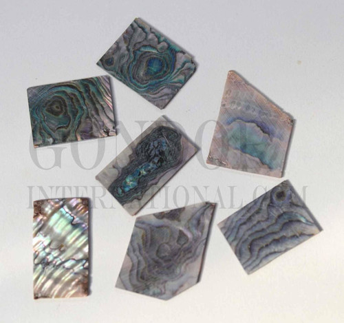 1oz Green abalone blanks mix size 1.5mm