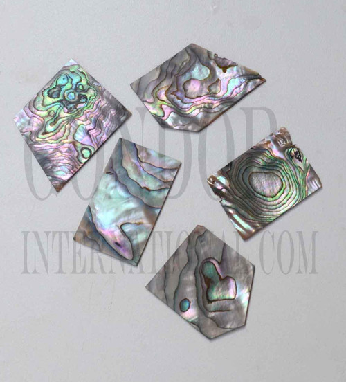 1oz Green abalone blanks mix size select 1.3mm