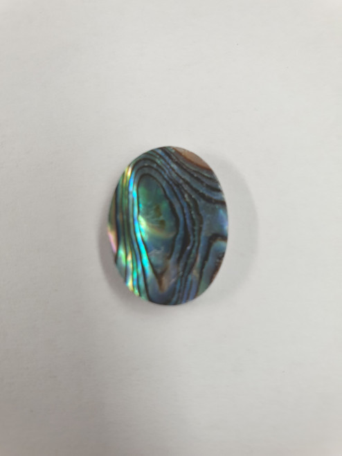 1pc Green abalone cabochons oval 15x20x2mm