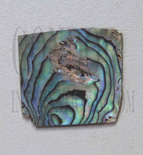1pc Paua blanks 25-30x25-30x1.3mm