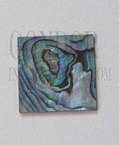 1pc Paua blanks 25x25x1.5mm