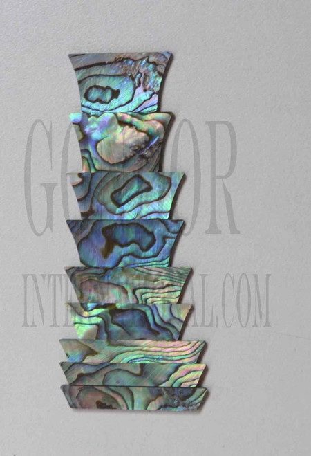 1set Paua Crown blank set 1.5mm