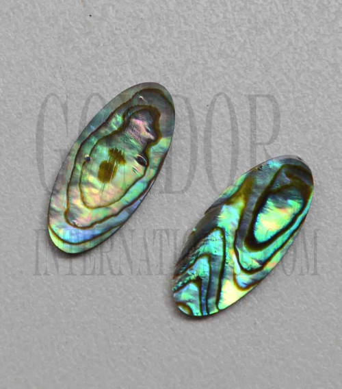 1pc Paua oval blanks 10x22x1.5mm polished 1 side