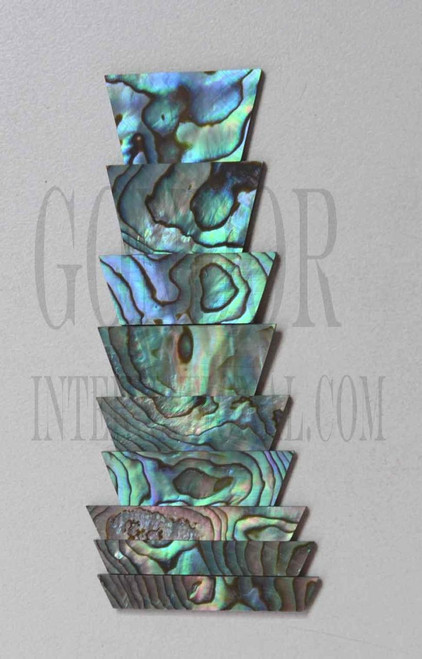 1set Paua Trapezoid blank set 1.5mm