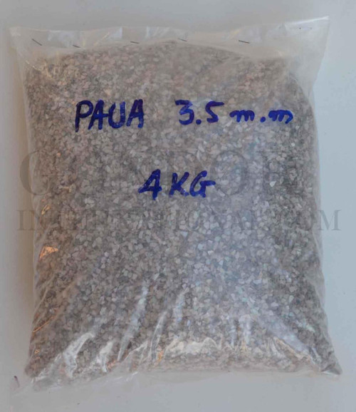 1oz Paua Terrazzo chips size 1
