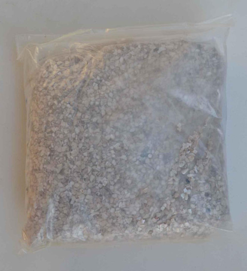 1oz Trochus Terrazzo chips size 1
