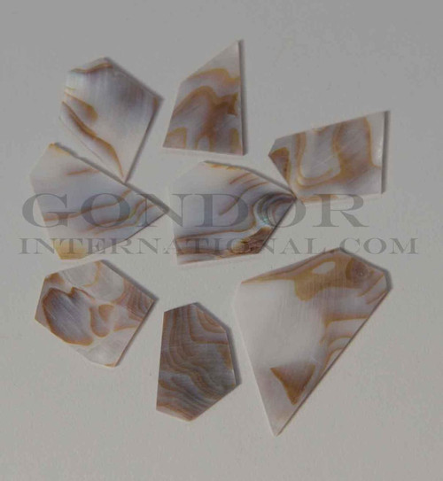 Brown mussel large size flat inlay blanks mix size 1.3mm (0.05") thickness irregular shape A grade. Sold by oz - approx. 4 - 5pcs per oz size approx. 30mm+ x 40- 55mm