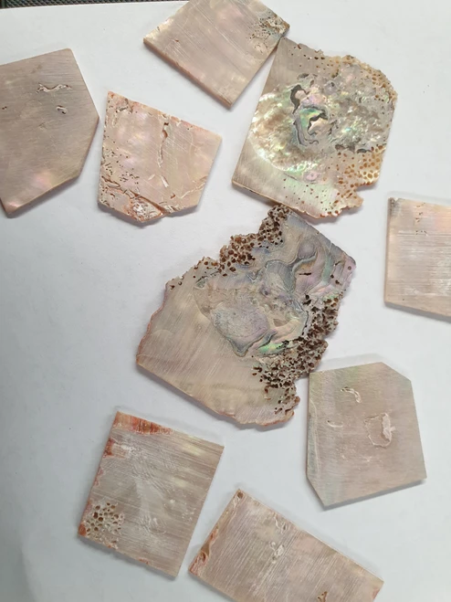 1oz Awabi blanks mix size B grade 1.3mm thickness
