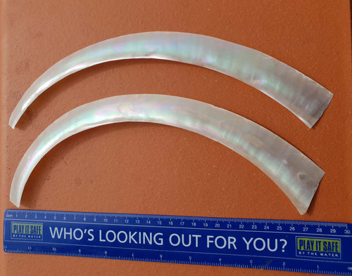 Green Turban feathers 15-35mm (0.6-1.4") width x 260-300mm (10.6-12.2") length x 0.2mm (0.008") thickness - thinly sliced solid shell pcs. Cut along the curved part of shell they can yield larger pcs then standard solid shell blanks. Ideal for shallow inlay, overlay, fishing lure manufacture and other decorative purposes.