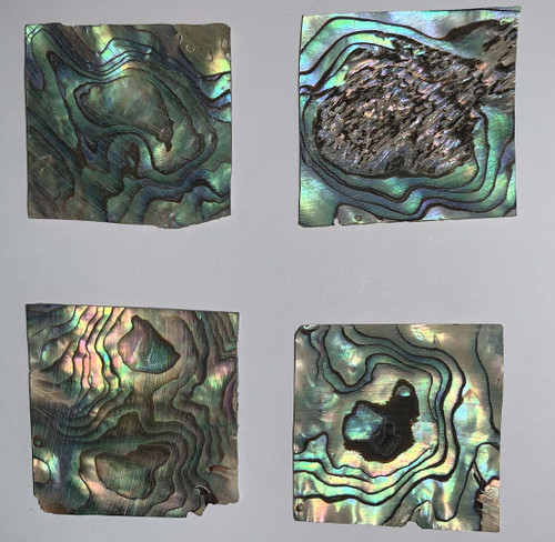 Paua abalone (New Zealand Paua shell) flat inlay blanks size 25-30mm width x 25-30mm length x 1.3mm thickness B grade. Good on 1 side may have holes or shell skin on other side.