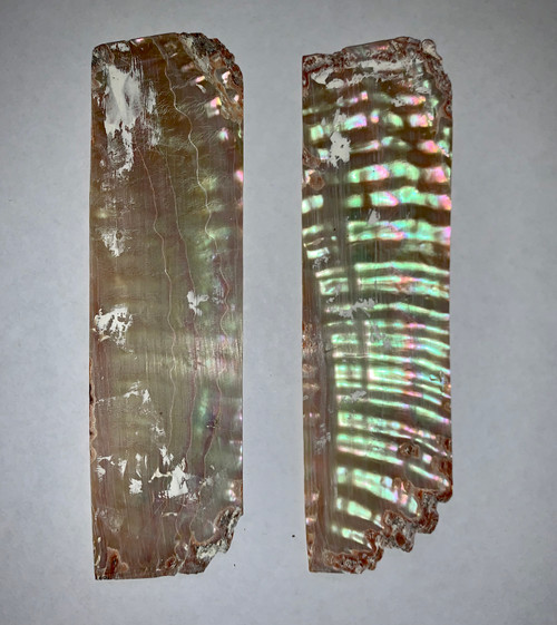 Awabi flat inlay blanks 13 x 100 x 1mm used as Awabi (Goldfish) bow slides for violin and viola.