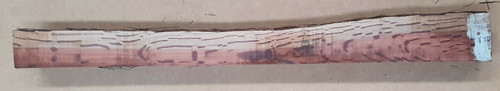1pc hairybark oak 30-60x670x10-45mm