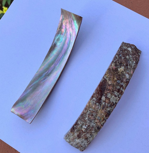 1pc Awabi blanks natural 25 x 125 x 2-3mm