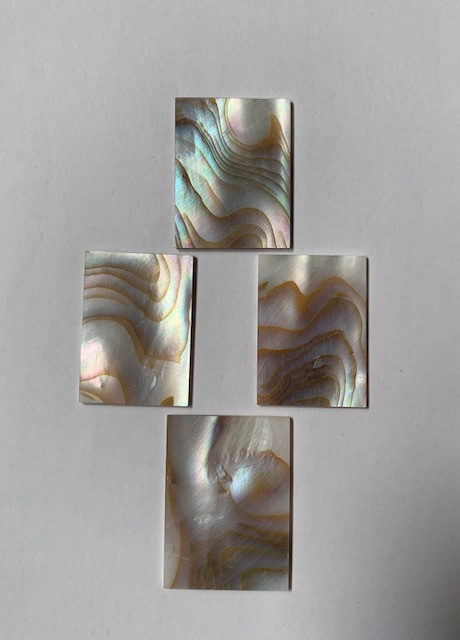 1oz Brown mussel blanks mix size large select 1.5mm