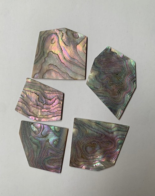 1oz Pink abalone blanks select mix size 1mm