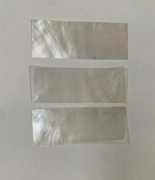 1pc White MOP feathers 31x95-100x0.15mm