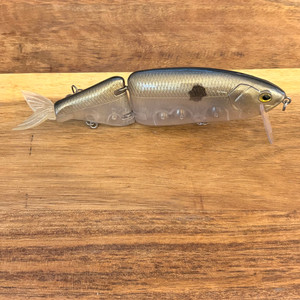 Golden Shiner Large Glide