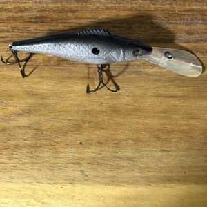 Minnow Body Deep Diver