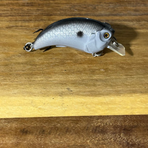 Gizzard Shad Hunchback Squarebill