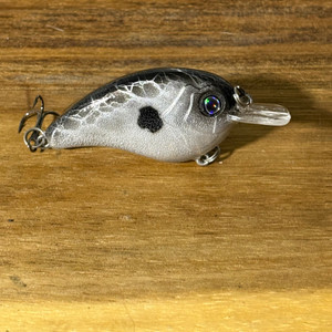 Blind Squirrel Baits custom painted shallow diving crank bait