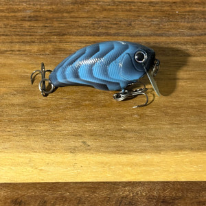 Blind Squirrel Baits hand painted wake bait.