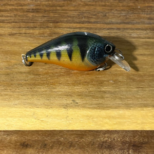 Summer Sunfish Squarebill