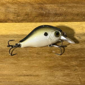 Mini Gold Nugget Squarebill