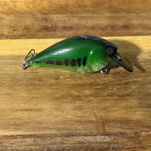 Bass Pattern Squarebill