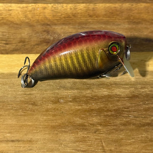 Blind Squirrel Baits copper sunfish wakebait.