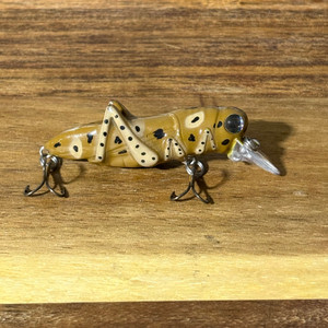 3 inch Spotted Grasshopper