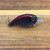 Red Midnight Shallow Diver