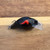 Matt-a-Dor Squarebill