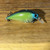 Cosmic Green Squarebill