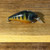 Summer Sunfish Squarebill