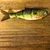 Blind Squirrel Baits hand painted glide bait. 6.5 inches.