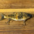 Blind Squirrel Baits 5 inch glide in blackened shad.