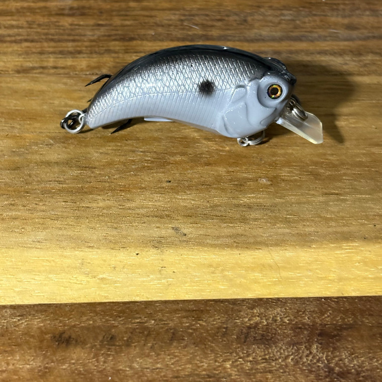 Blind Squirrel Baits custom painted hunchback square bill crank bait