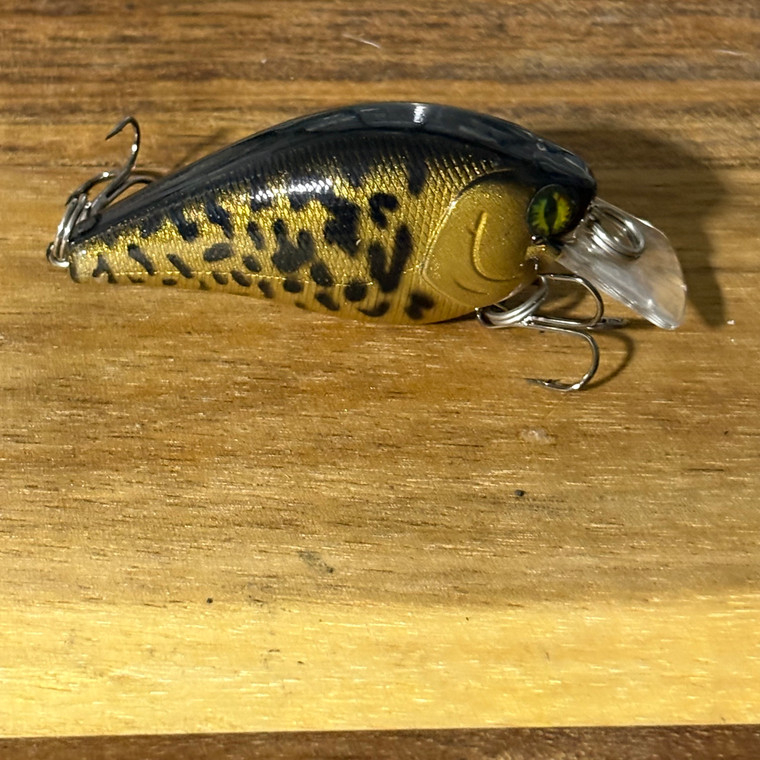 Blind Squirrel Baits custom painted square bill crankbait.