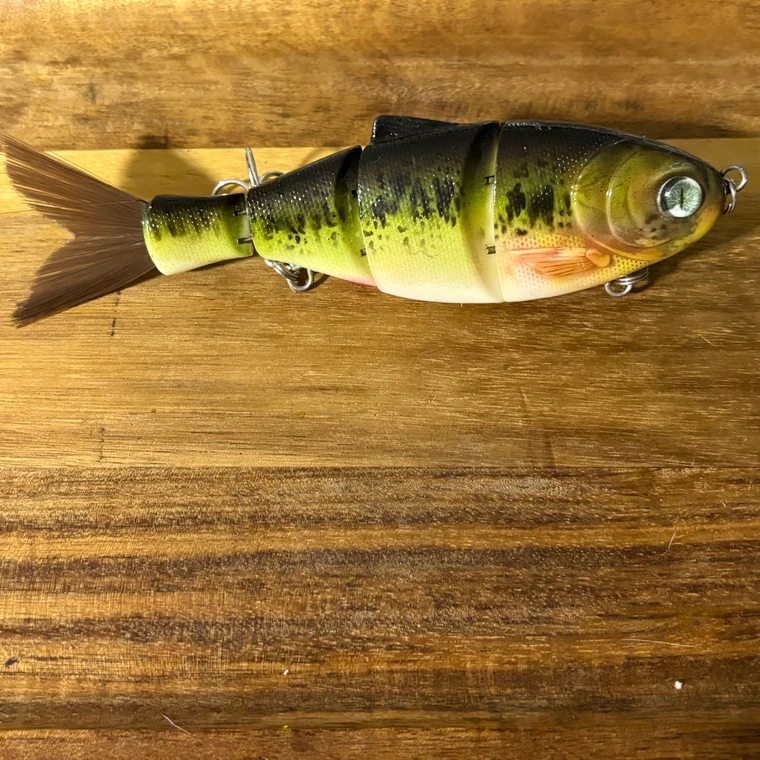 Blind Squirrel Baits hand painted glide bait. 6.5 inches.