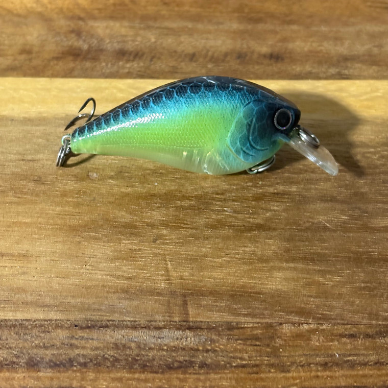 Sunfish Squarebill