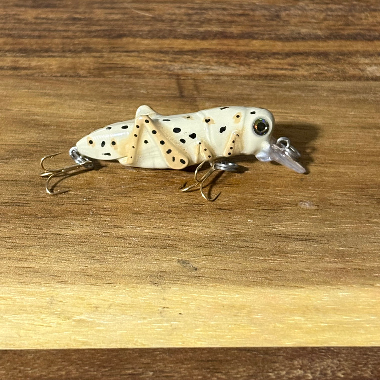 2 inch Albino Grasshopper