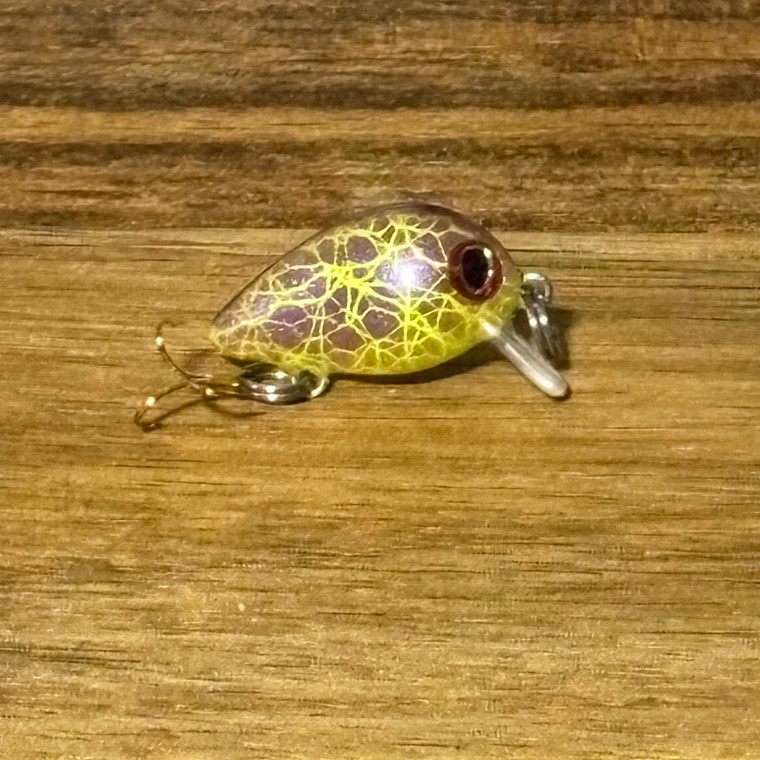 Cosmic Crystal Baby Bug