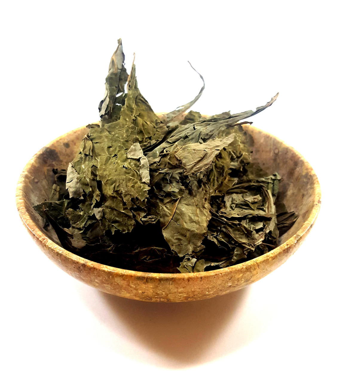 Salvia divinorum 