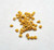 Ashwagandha seeds in a pile. White backdrop