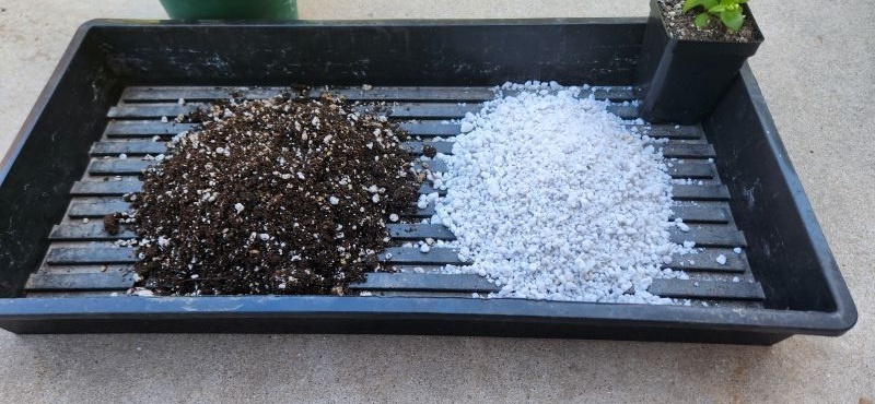 kanna-soil Potting soil for Kanna