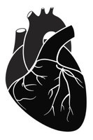 THE HEART AS SYMBOL